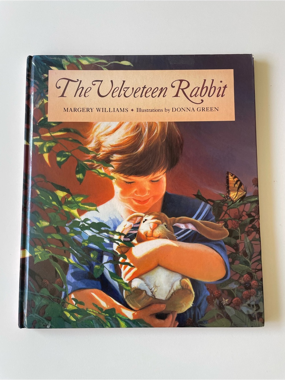 Vintage The Velveteen Rabbit Hardcover Margery Williams Donna Green 1995